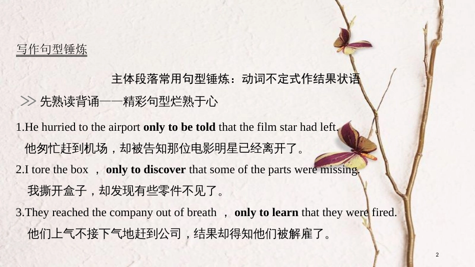 2019版高考英语大一轮复习 模块八 Unit 2 The universal language课件 牛津译林版选修8_第2页
