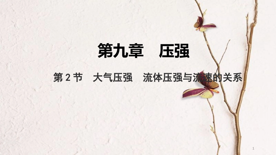 中考物理 基础过关复习集训 第九章 压强 第2节 大气压强 流体压强与流速的关系课件 新人教版_第1页