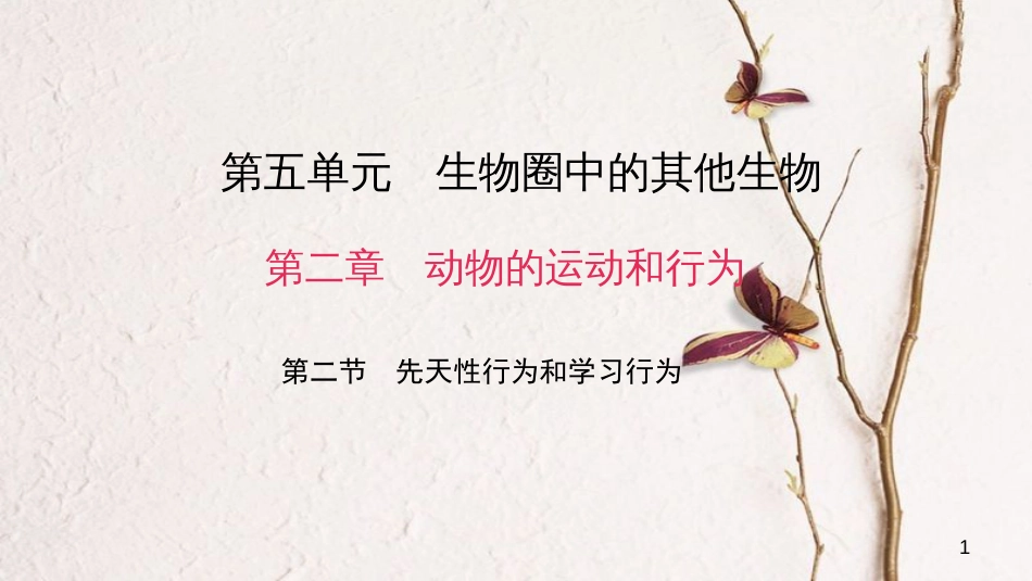 八年级生物上册 第五单元 第二章 第二节 先天性行为和学习行为课件 （新版）新人教版_第1页