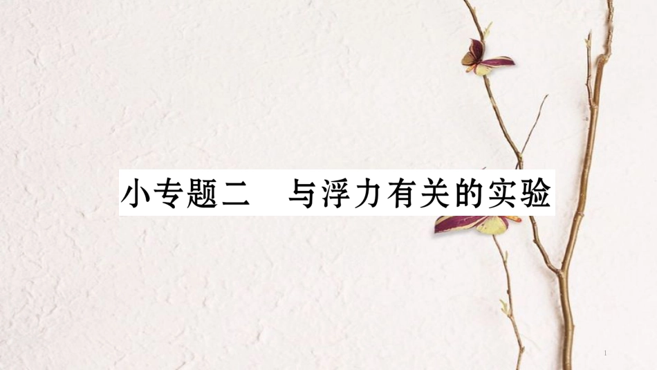 八年级物理下册 小专题2 与浮力有关的实验课件 （新版）新人教版_第1页