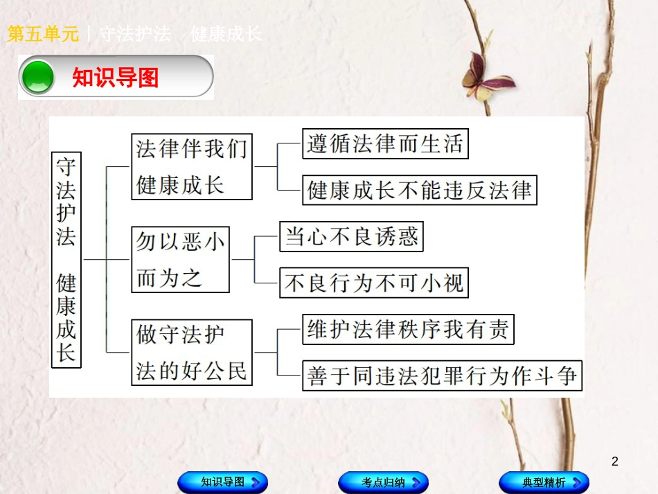 （广西北部湾专版）中考政治 七下 第五单元 守法护法 健康成长知识梳理课件_第2页