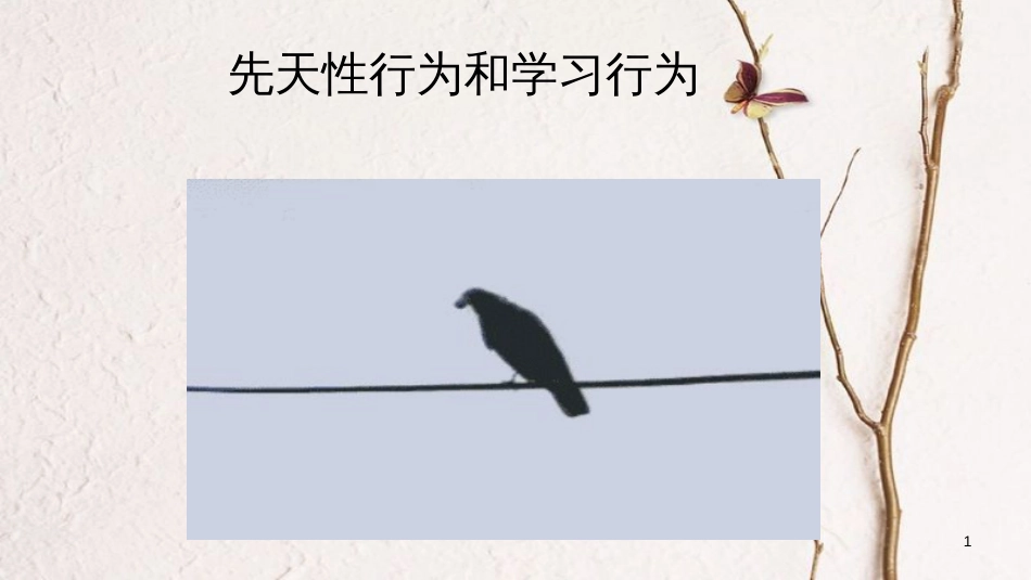 八年级生物上册 第五单元 第二章 第二节《先天性行为和学习行为》课件 （新版）新人教版_第1页