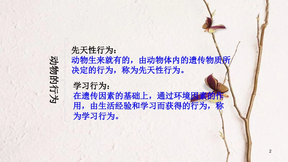 八年级生物上册 第五单元 第二章 第二节《先天性行为和学习行为》课件 （新版）新人教版_第2页