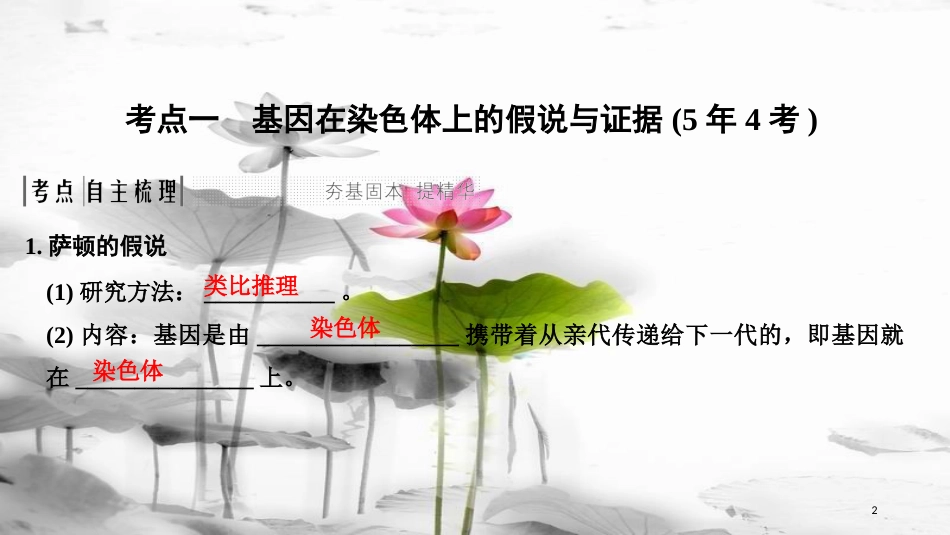 届高考生物一轮复习 第五单元 遗传的基本规律 第16讲 伴性遗传和人类遗传病课件_第2页