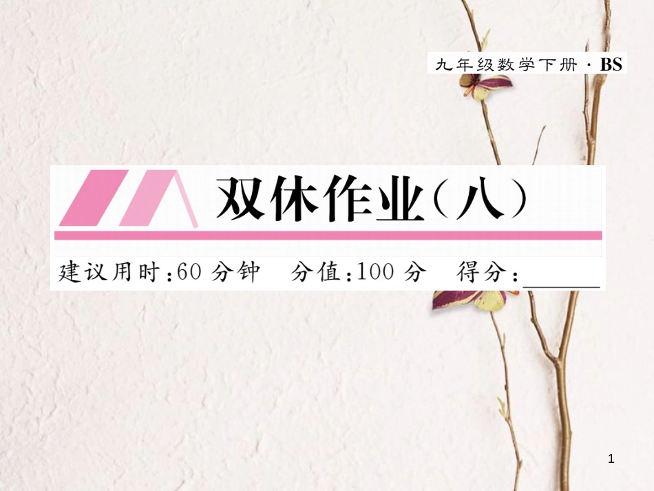九年级数学下册 双休作业(八)作业课件 (新版)北师大版_第1页