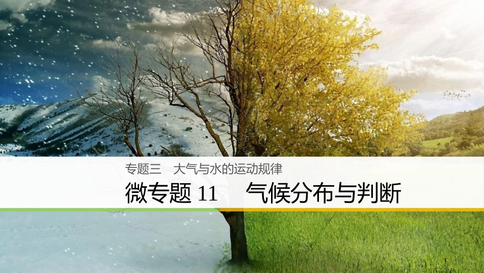 （浙江选考）高三地理二轮专题复习 专题三 大气与水的运动规律 微专题11 气候分布与判断课件 新人教版_第1页