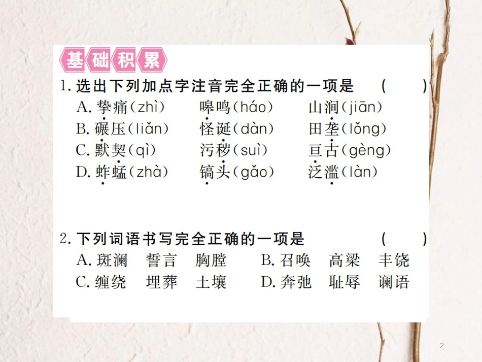 （江西专版）七年级语文下册 第二单元 7土地的誓言习题课件 新人教版_第2页