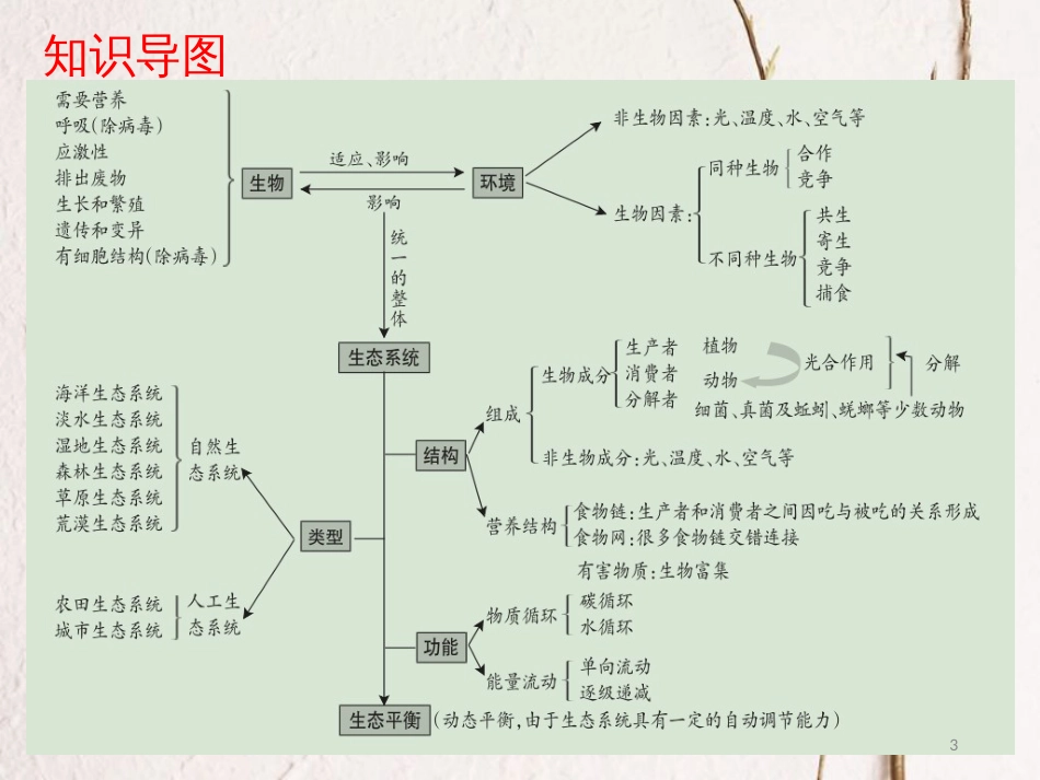 广东省中考生物 第一单元 生物和生物圈课件_第3页