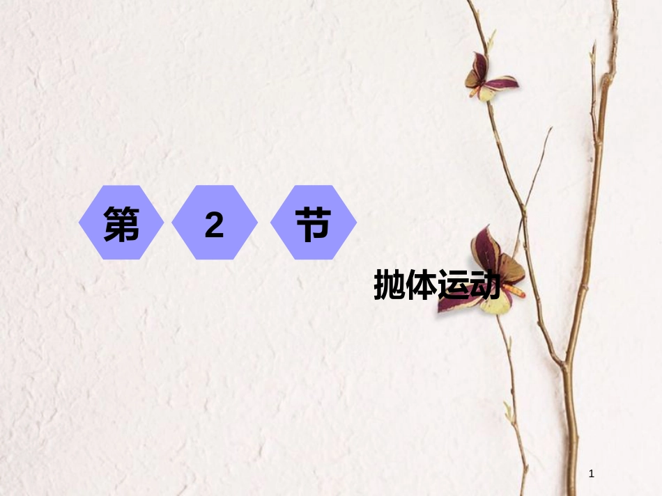 2019届高考物理一轮复习 第四章 曲线运动 万有引力与航天 第2节 抛体运动课件_第1页