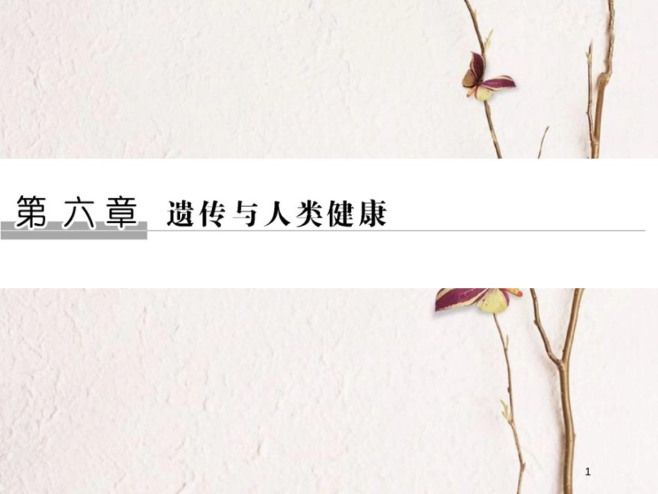 高中生物 第六章 遗传与人类健康 第21课时 人类遗传病的主要类型同步备课课件 浙科版必修2_第1页