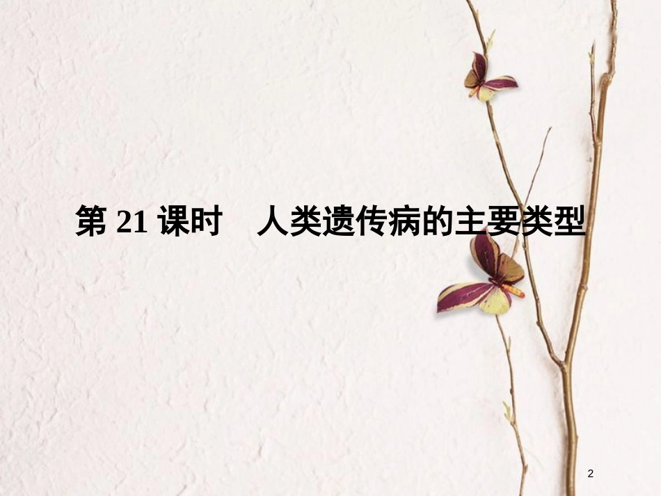 高中生物 第六章 遗传与人类健康 第21课时 人类遗传病的主要类型同步备课课件 浙科版必修2_第2页
