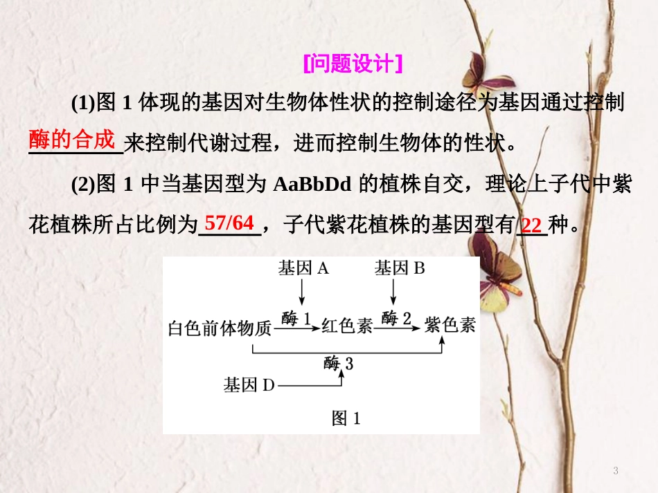 （全国通用）高考生物二轮复习 专题三 遗传 串讲二 遗传规律、伴性遗传 第2课时 高考研究课件_第3页