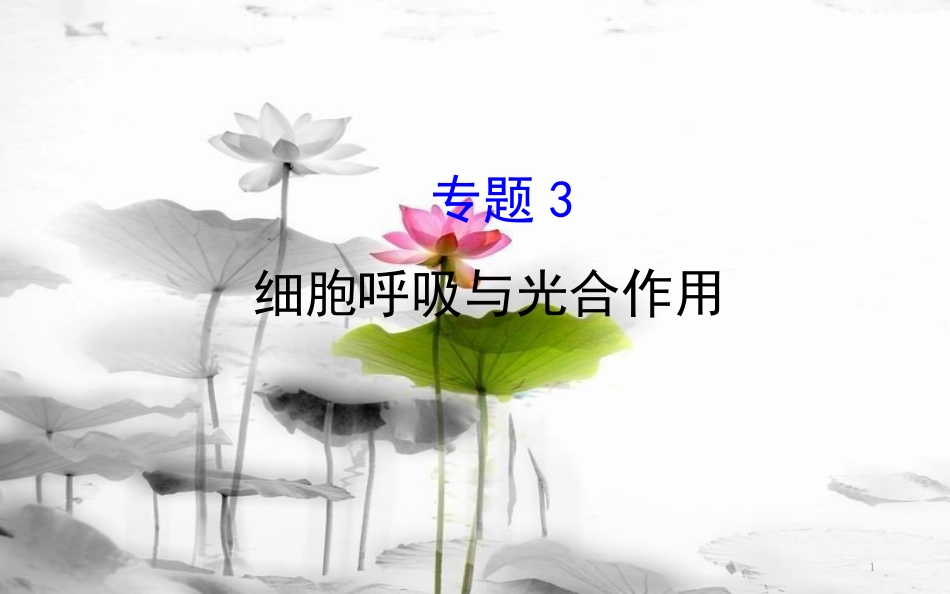 届高三生物二轮复习 2.3 专题3 细胞呼吸与光合作用课件_第1页