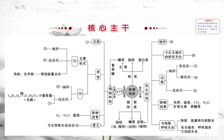 届高三生物二轮复习 2.3 专题3 细胞呼吸与光合作用课件_第3页
