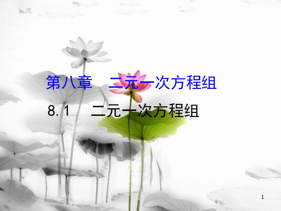 七年级数学下册 第八章 二元一次方程组 8.1 二元一次方程组课件1 （新版）新人教版_第1页