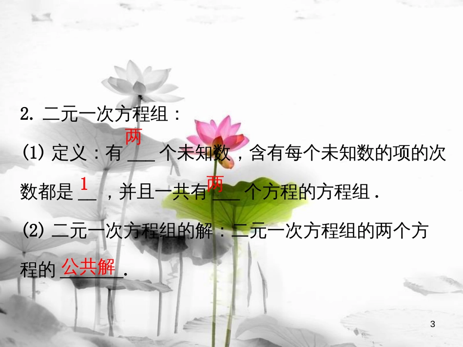 七年级数学下册 第八章 二元一次方程组 8.1 二元一次方程组课件1 （新版）新人教版_第3页