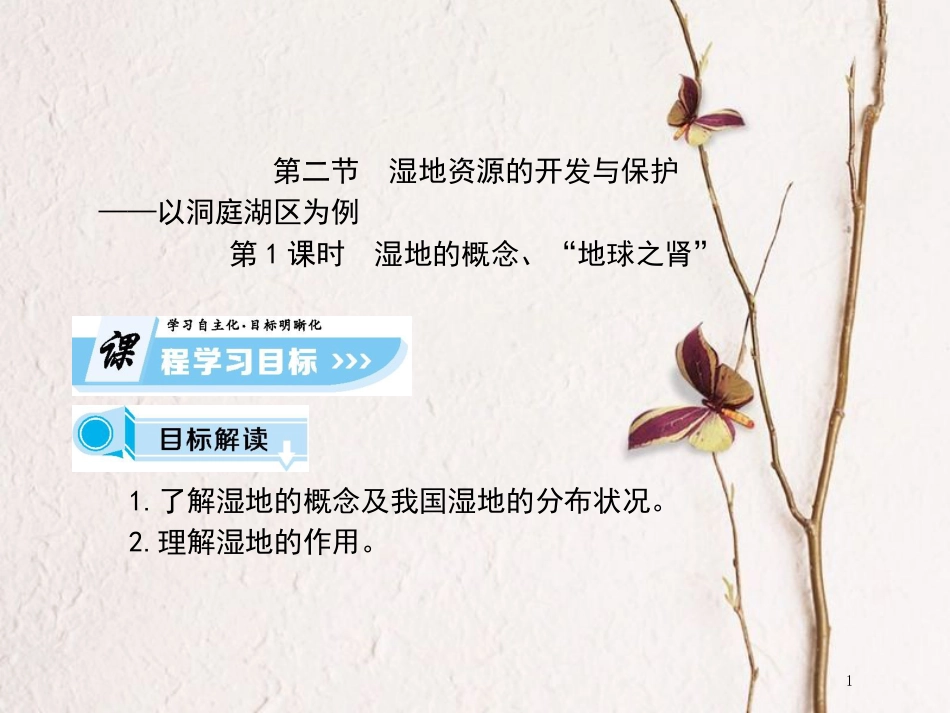 高中地理 第二章 区域可持续发展 第二节 湿地资源的开发与保护—以洞庭湖区为例（课时1）课件 湘教版必修3_第1页