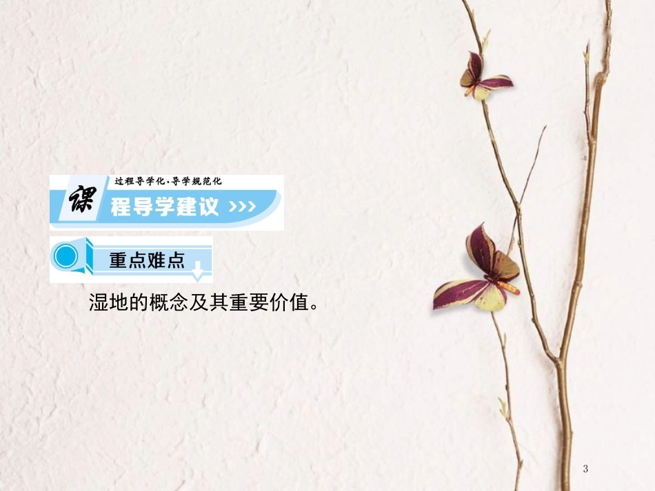 高中地理 第二章 区域可持续发展 第二节 湿地资源的开发与保护—以洞庭湖区为例（课时1）课件 湘教版必修3_第3页