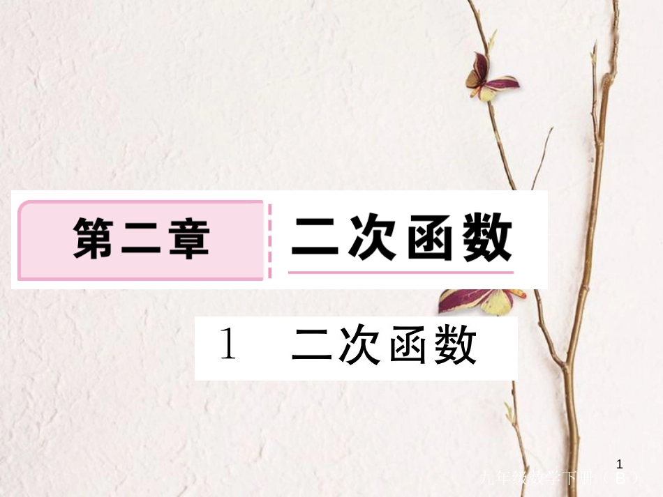 江西省2018年九年级数学下册 第二章 二次函数 2.1 二次函数练习课件 （新版）北师大版_第1页