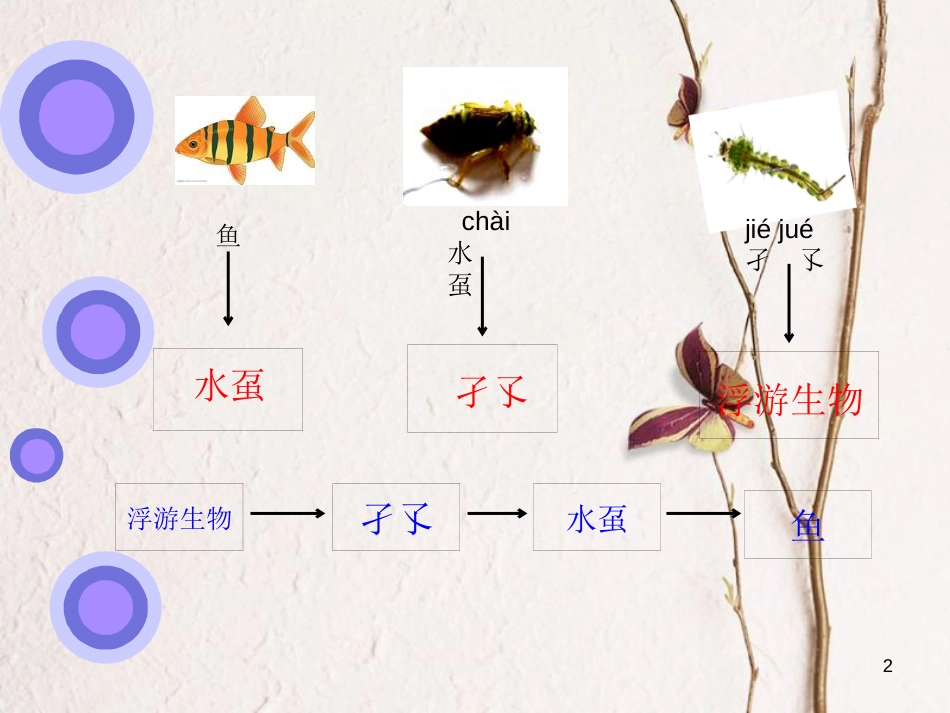 六年级科学上册 1.3 走进池塘课件3 湘教版_第2页