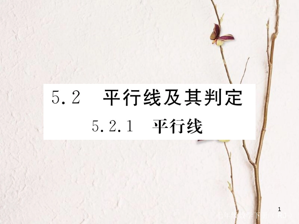 七年级数学下册 第5章 相交线与平行线 5.2 平行线及其判定 5.2.1 平行线练习课件 （新版）新人教版_第1页