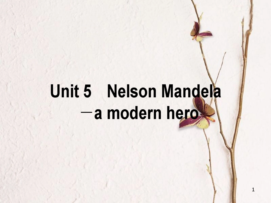 2019届高三英语一轮复习 Unit 5 Nelson Mandela-a modern hero课件 新人教版必修1_第1页