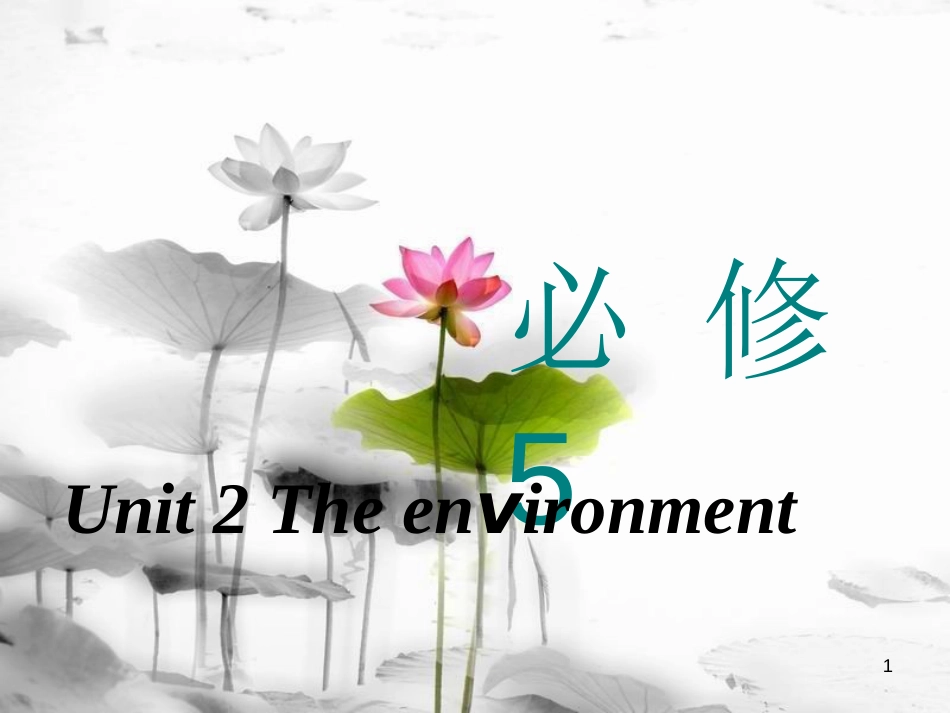 高考英语一轮复习 Unit 2 The environment课件 牛津译林版必修5_第1页