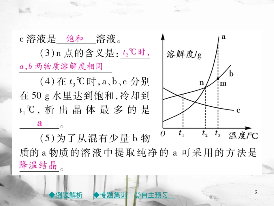 年春九年级化学下册 第九章 溶液 专题特训 溶解度曲线的应用课件 （新版）新人教版_第3页