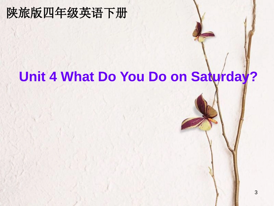 四年级英语下册 Unit 4 What do you do on Saturday pa课件 陕旅版_第3页