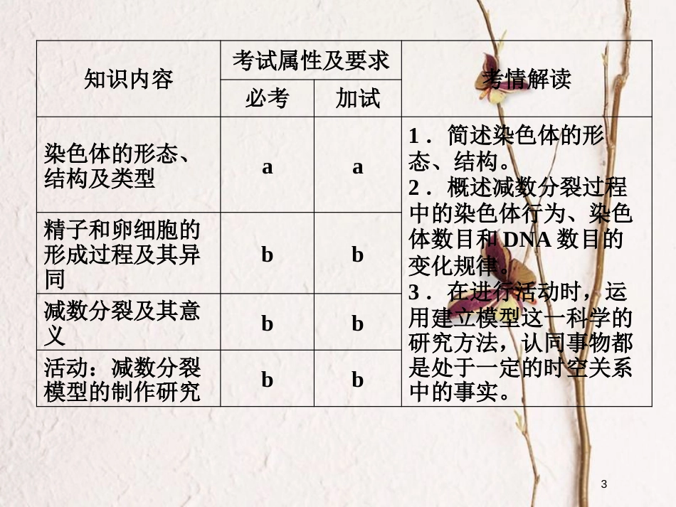 高中生物 第二章 染色体与遗传 第6课时 减数分裂中的染色体变化（Ⅰ）同步备课课件 浙科版必修2_第3页