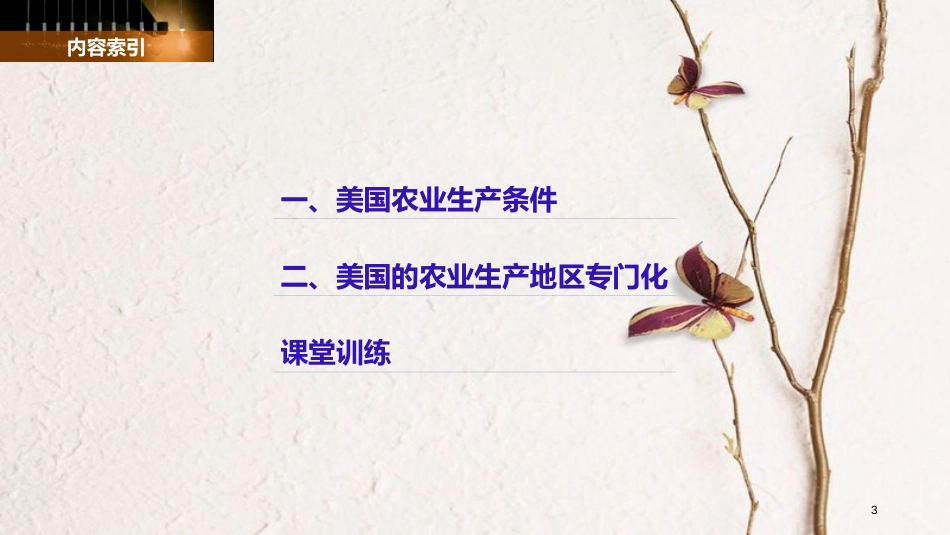 高中地理 第二章 区域可持续发展 第四节 区域农业的可持续发展——以美国为例（1）同步备课课件 湘教版必修3_第3页