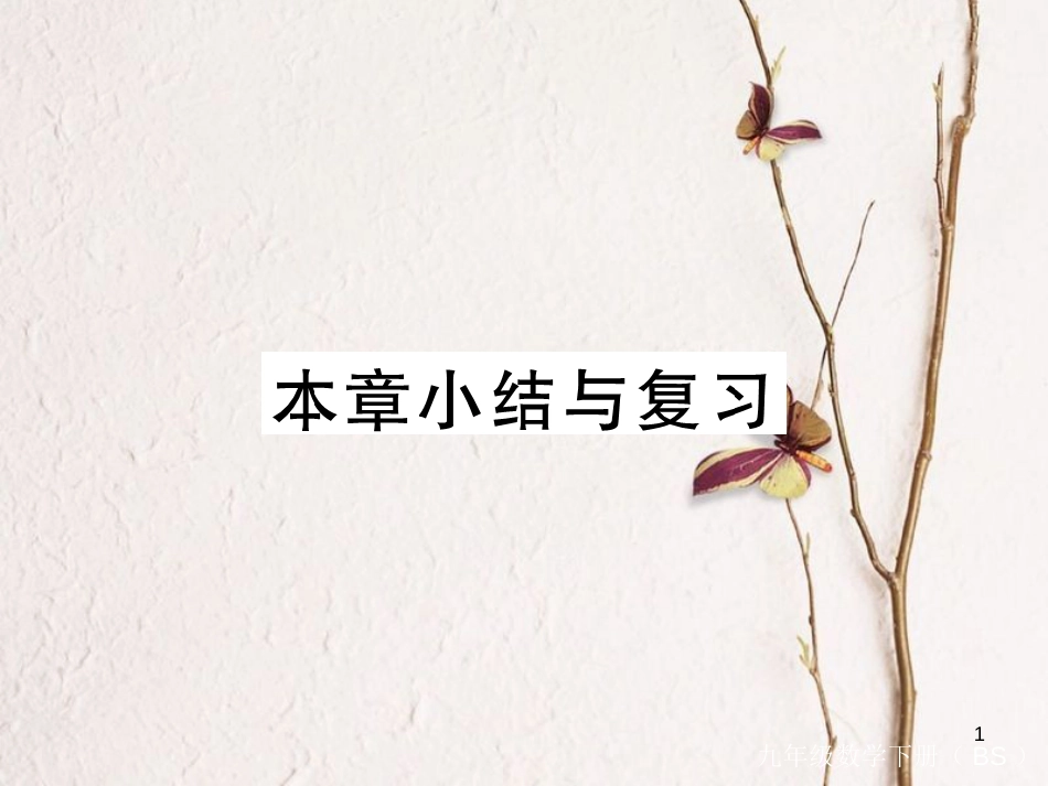 年九年级数学下册 第二章 二次函数小结与复习练习课件 （新版）北师大版_第1页