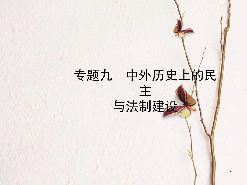 山东省滨州市中考历史复习 专题九 中外历史上的民主与法制建设课件_第1页