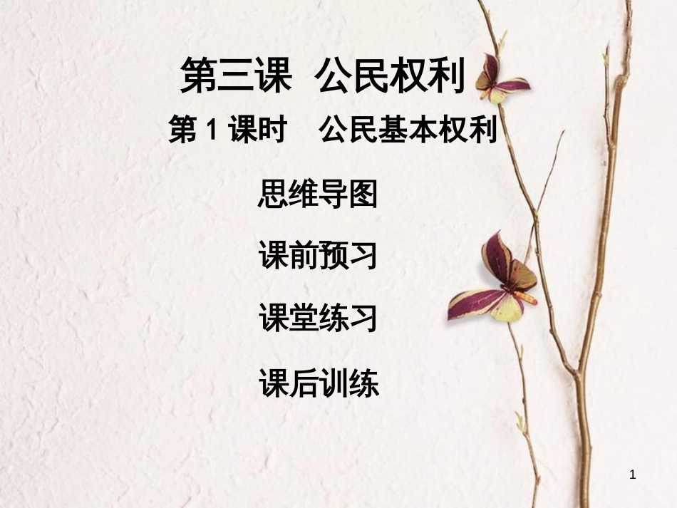 2018学年八年级道德与法治下册 第二单元 理解权利义务 第三课 公民权利 第1框 公民基本权利习题课件 新人教版(1)_第1页