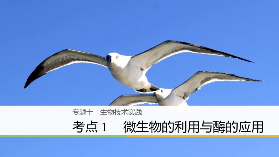 （浙江选考）高三生物二轮专题复习 专题十 生物技术实践 考点1 微生物的利用与酶的应用课件 新人教版_第1页
