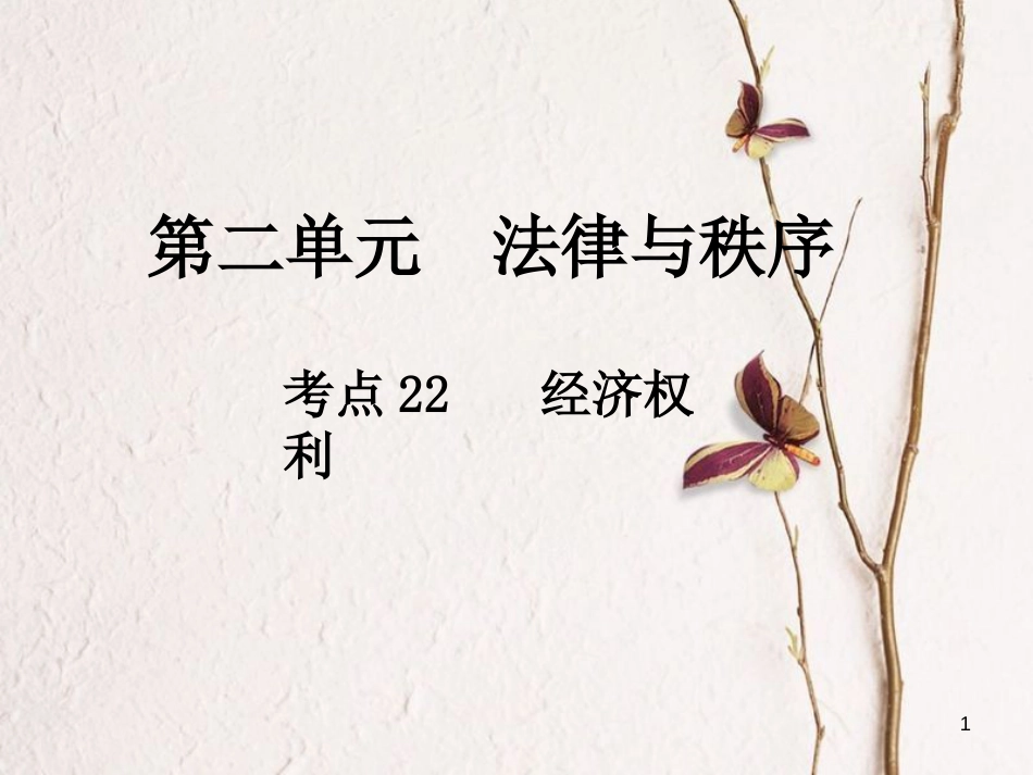 中考政治总复习 第二单元 法律与秩序 考点22 经济权利课件_第1页