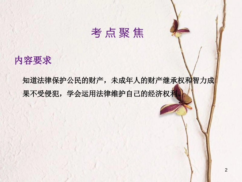 中考政治总复习 第二单元 法律与秩序 考点22 经济权利课件_第2页