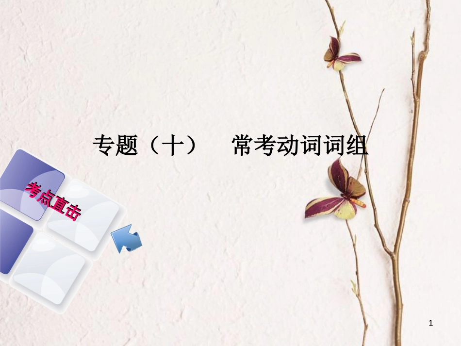 湖南省中考英语总复习 第二部分 语法点击 专题(十)常考动词词组课件 人教新目标版_第1页