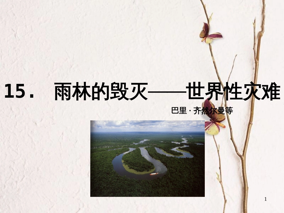 八年级语文上册 第四单元 15 雨林的毁灭 世界性灾难课件 语文版_第1页