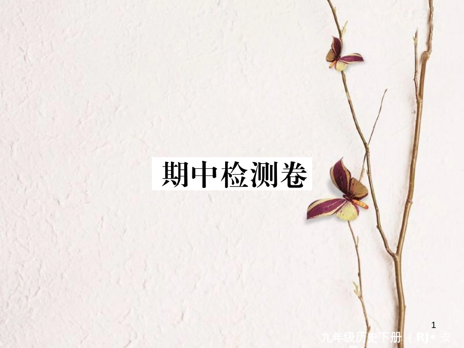 （安徽专版）九年级历史下册 期中检测卷课件 新人教版_第1页