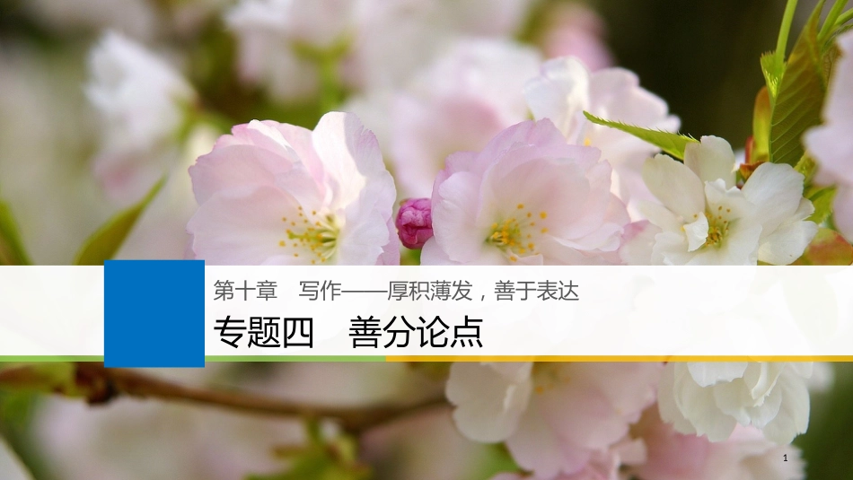 2019届高考语文一轮复习 第十章 写作-厚积薄发，善于表达 专题四 善分论点课件_第1页