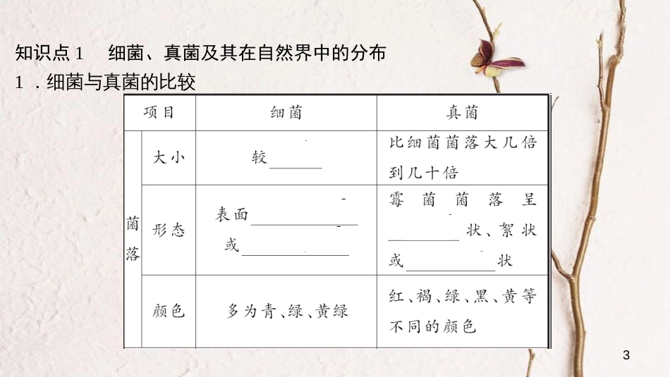 八年级生物上册 第五单元 第四、五章小结复习课件 （新版）新人教版_第3页