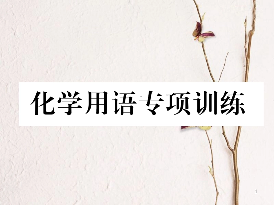 （青海专版）中考化学复习 第1编 教材知识梳理篇 化学用语专项训练课件_第1页