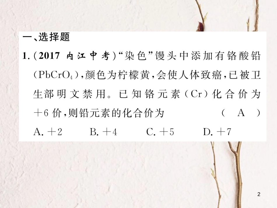 （青海专版）中考化学复习 第1编 教材知识梳理篇 化学用语专项训练课件_第2页