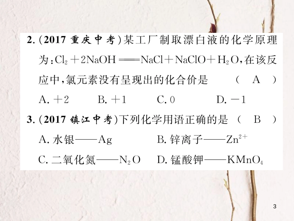 （青海专版）中考化学复习 第1编 教材知识梳理篇 化学用语专项训练课件_第3页
