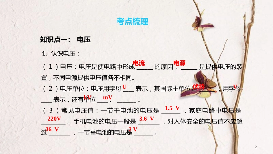 中考物理一轮复习 专题突破17 电压、电阻课件 新人教版_第2页