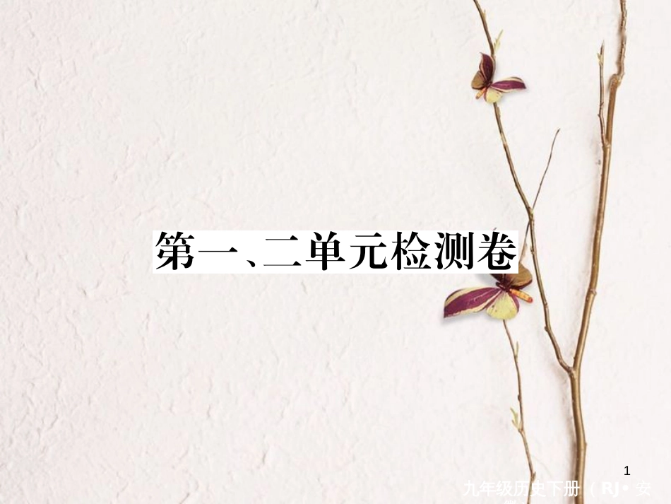 （安徽专版）九年级历史下册 第一、二单元 检测卷课件 新人教版_第1页