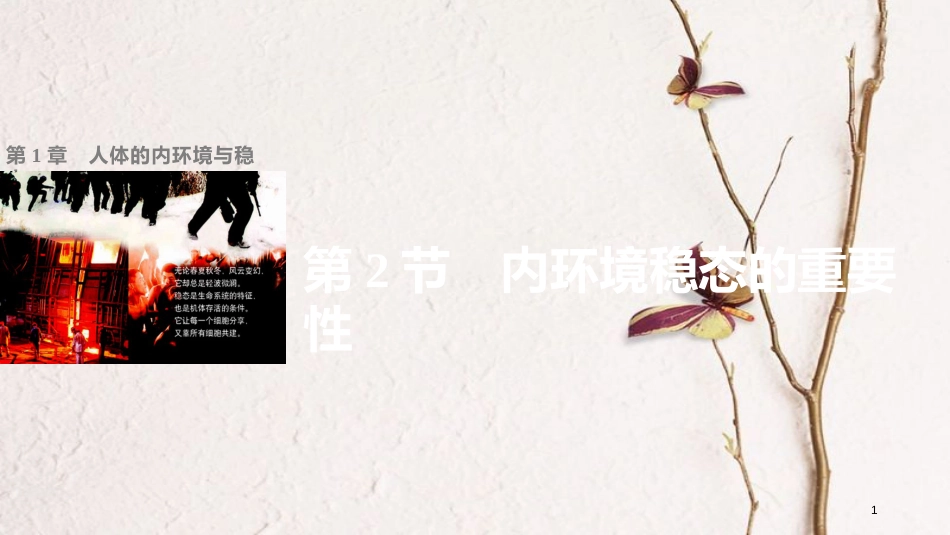 高中生物 第1章 人体的内环境与稳态 第2节 内环境稳态的重要性课件 新人教版必修3[共42页]_第1页