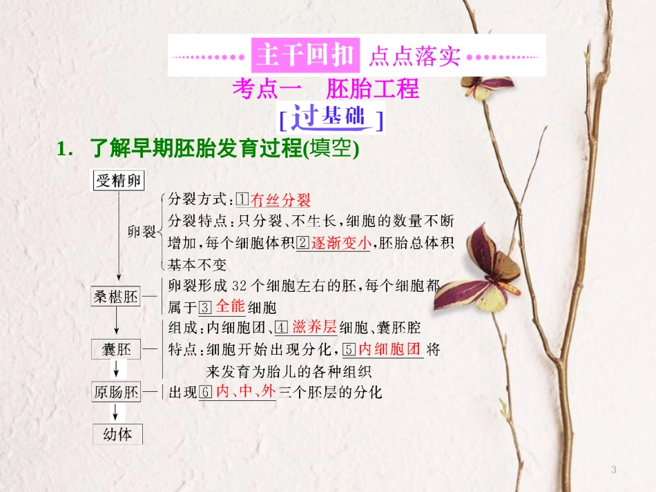 （全国通用）高考生物二轮复习 专题八 现代生物科技专题 第2课时 胚胎工程、生物技术的安全性和伦理问题及生态工程课件_第3页