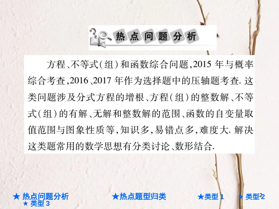 中考数学总复习 第二部分 重点专题提升 专题四 方程、不等式与函数的综合问题课件_第2页